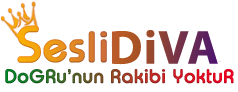 SesliDiVa.Com, SesliChat, SesliSohbet, SesliSiteler